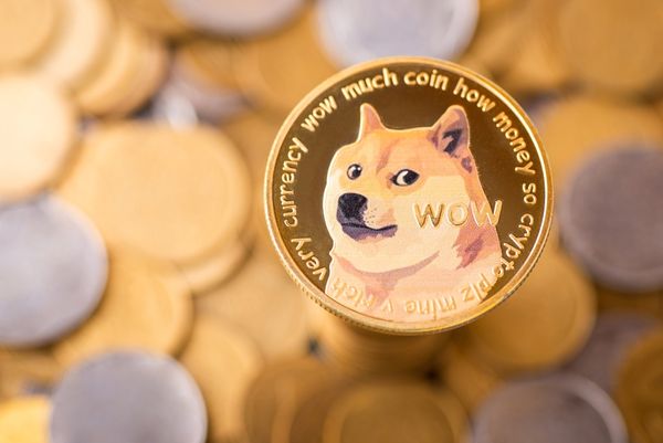 DogelyFarm Inc | Cloud mining, Dogecoin wallet, Tigger