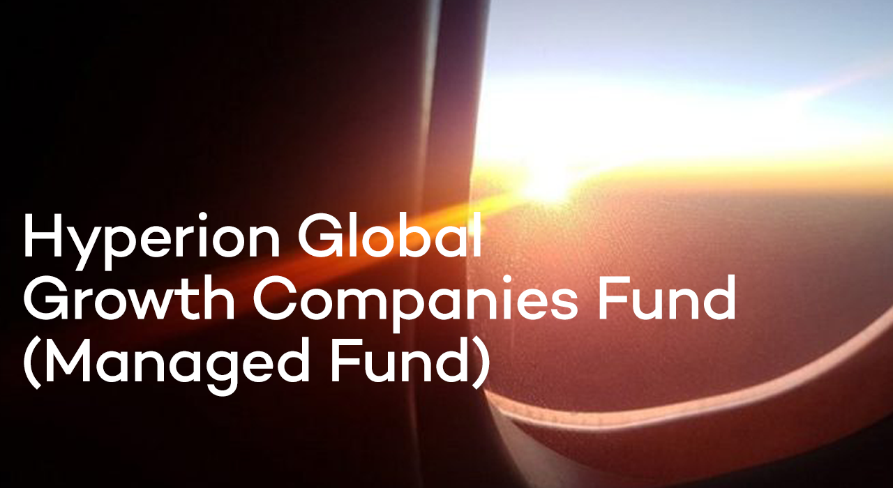 Hyperion Global Growth Companies Fund (Managed Fund), HYGG:ASX:AUD risk - ostrov-dety.ru