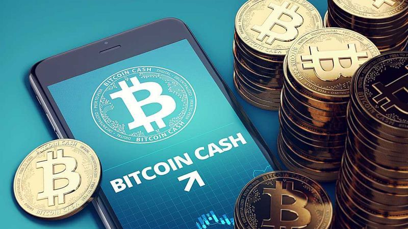 Bitcoin vs. Bitcoin Cash: What's the Difference?