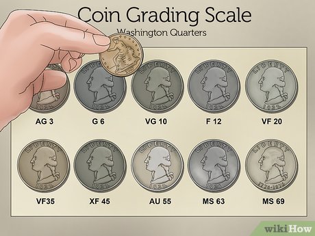 Coin Grading Terms – ostrov-dety.rus - Wynyard Coin Centre