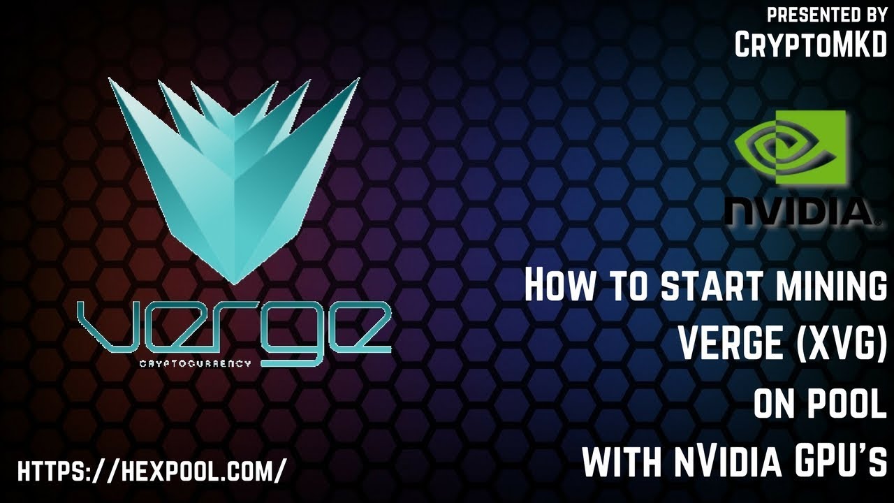 Verge Wallet Guide - Find Your Best XVG Wallet Choice!