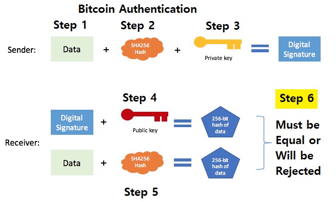 Bitcoin Transaction Validation, What Exactly Goes on Under the Hood? - Deltec Bank & Trust