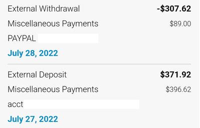 What should I do if my balance is negative? | PayPal AU