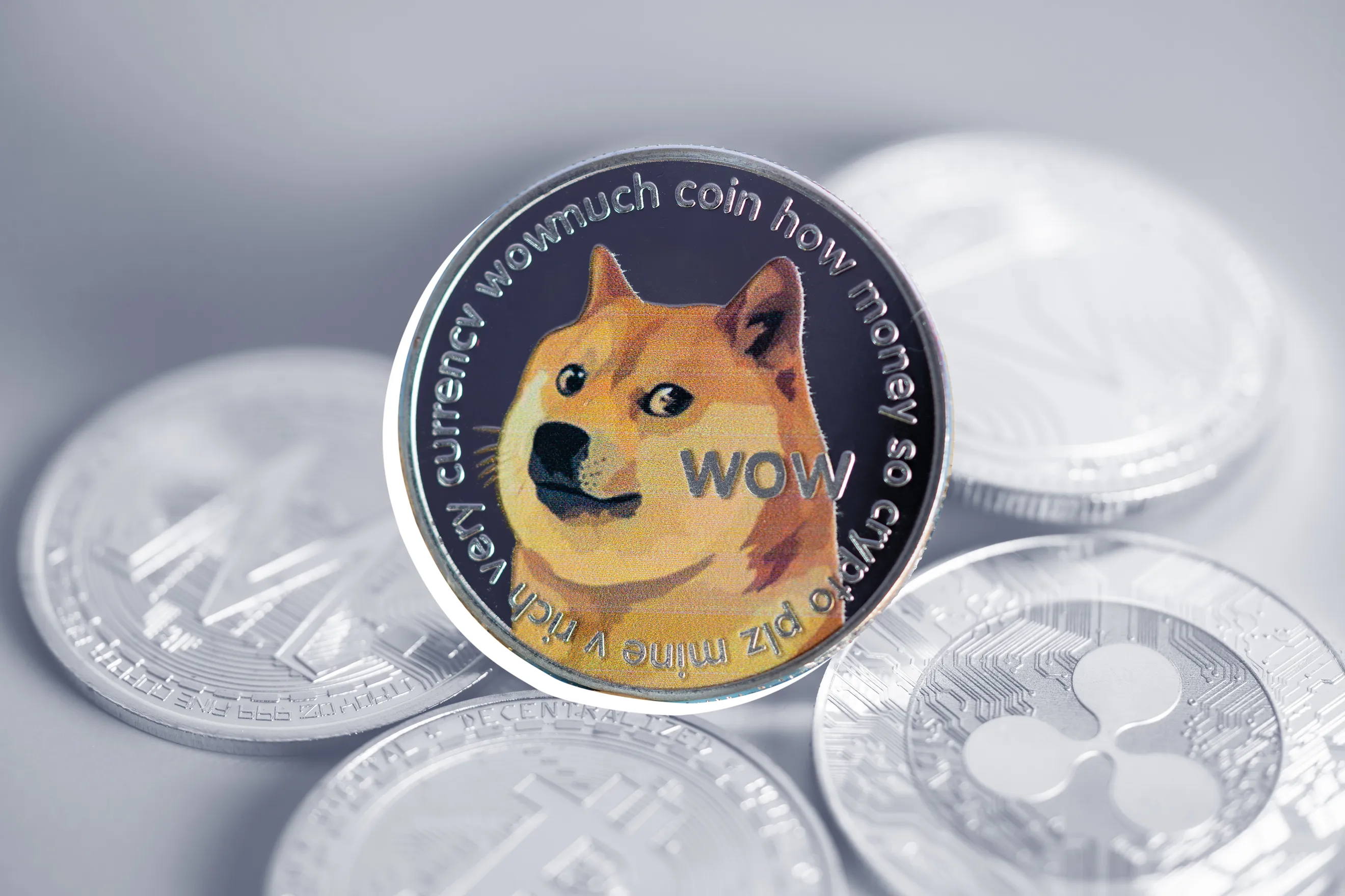 How to buy Dogecoin (DOGE) - ostrov-dety.ru