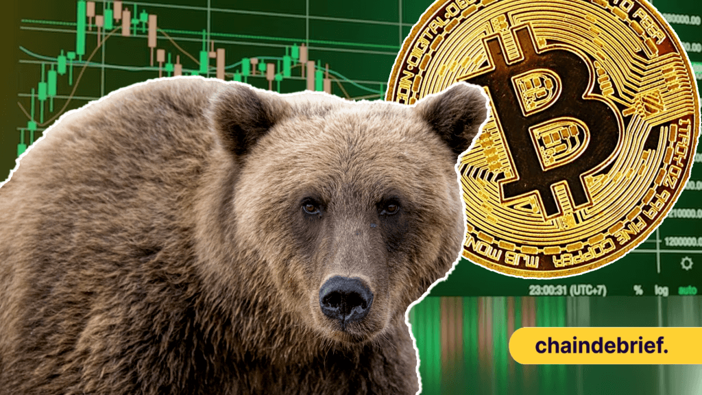 Bear price now, Live BEAR price, marketcap, chart, and info | CoinCarp