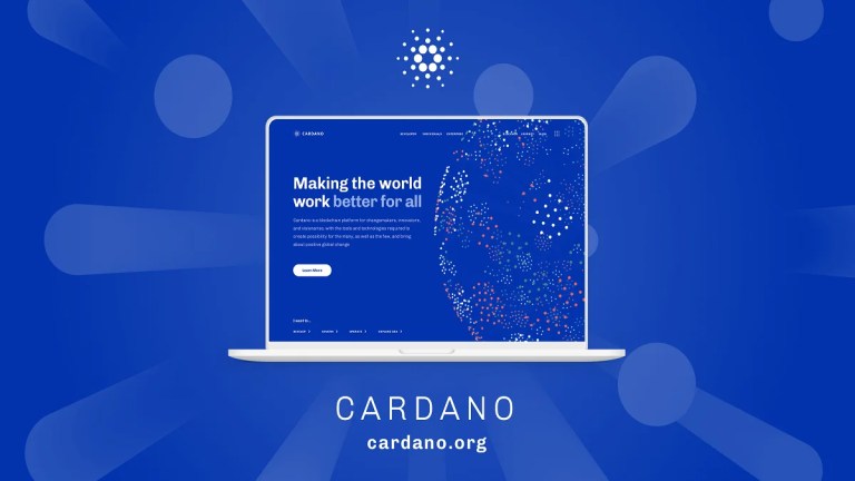 5 Best Cardano Hardware Wallets in | CoinCodex