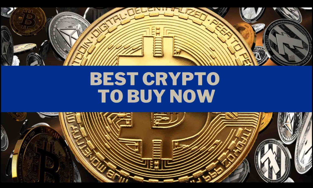 8 Crypto to consider buying now for the next bull run in - The Economic Times