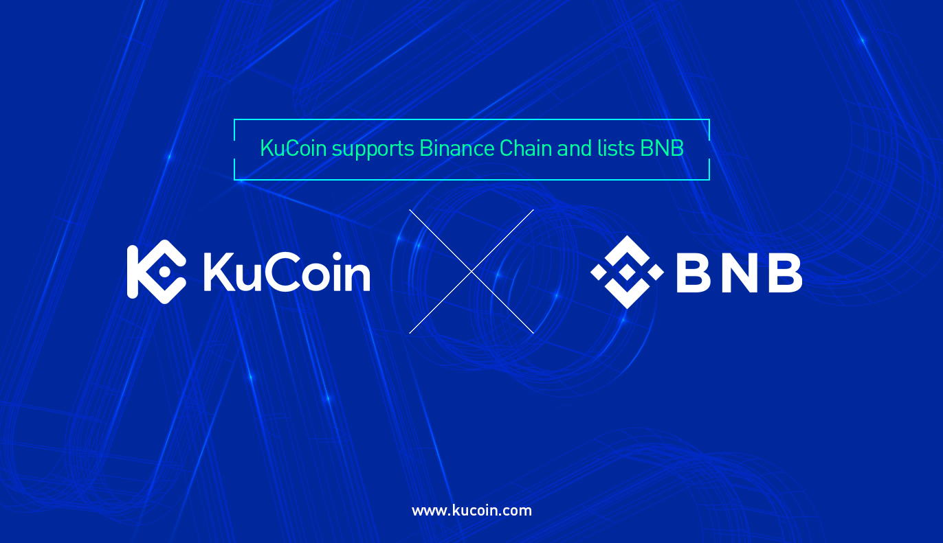 KuCoin vs Binance【】? Fees, Staking Comparison