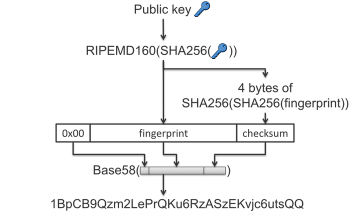 What type of Bitcoin address should I use?