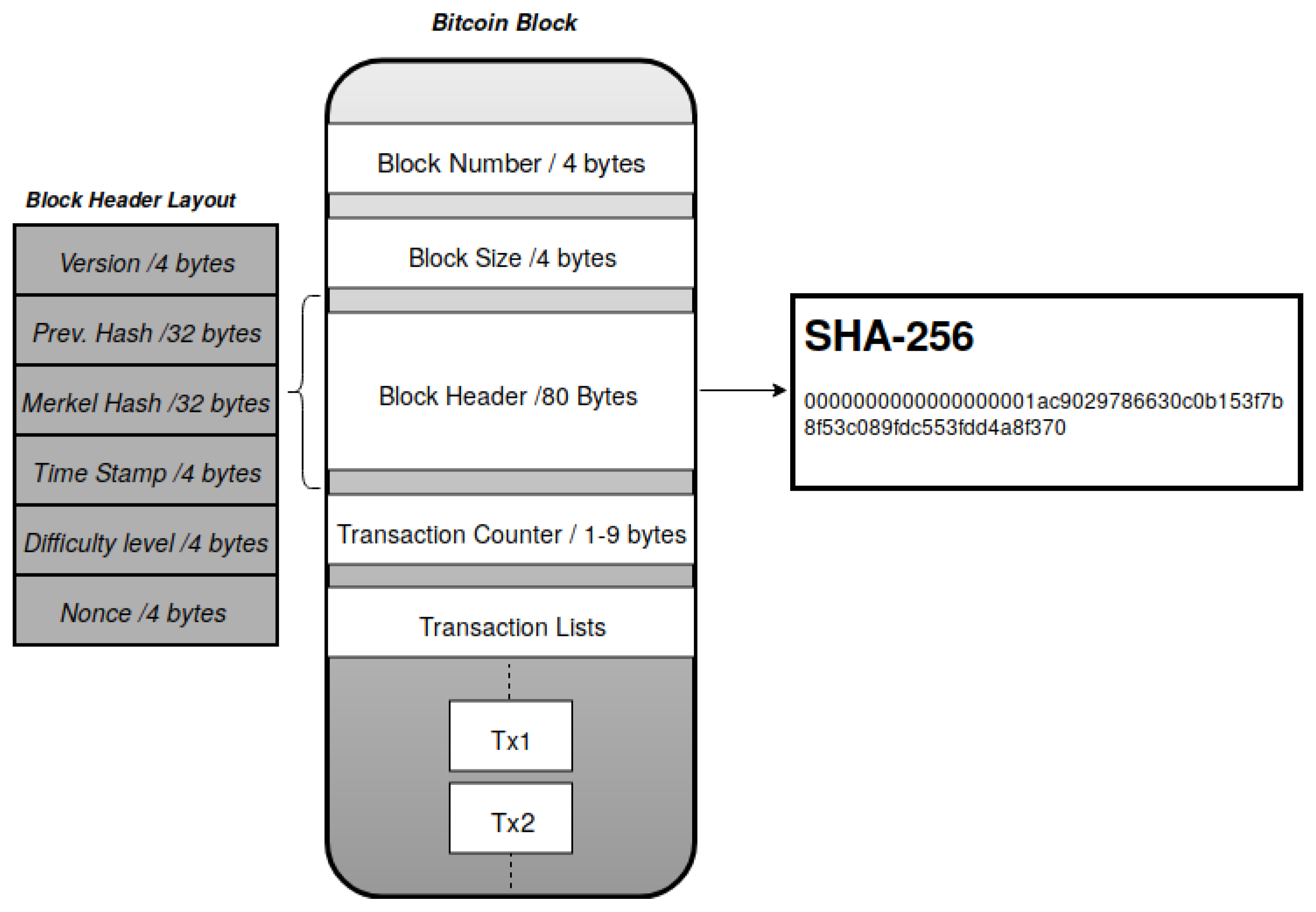 What Is a Block in the Blockchain? Block Structure | Gemini