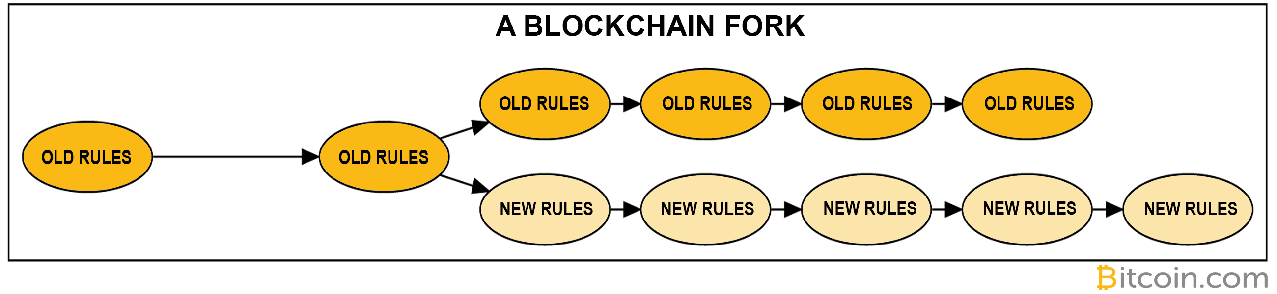 Bitcoin Fork Guide: History and Upcoming Bitcoin Forks