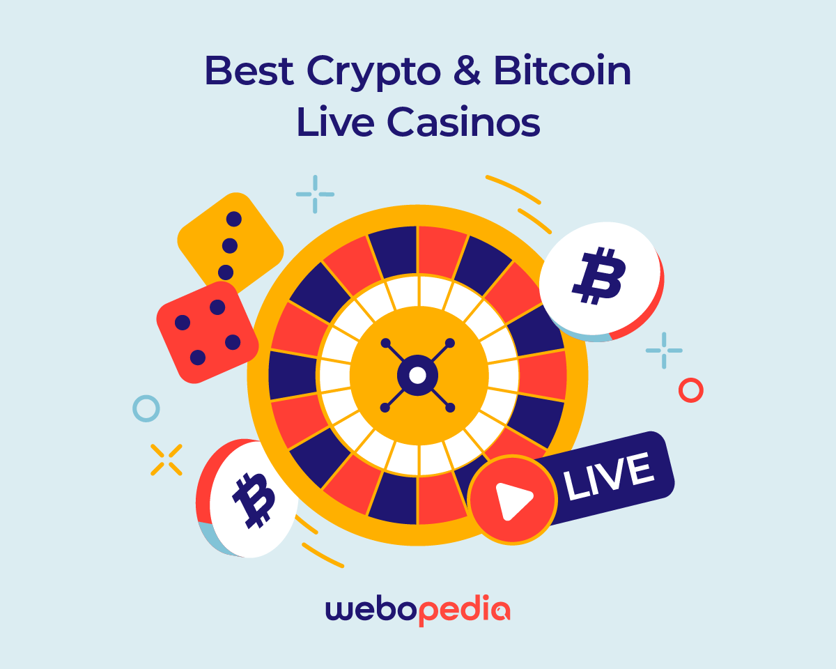 20+ Best Bitcoin Casinos Our Top Crypto Casino Picks Ranked!