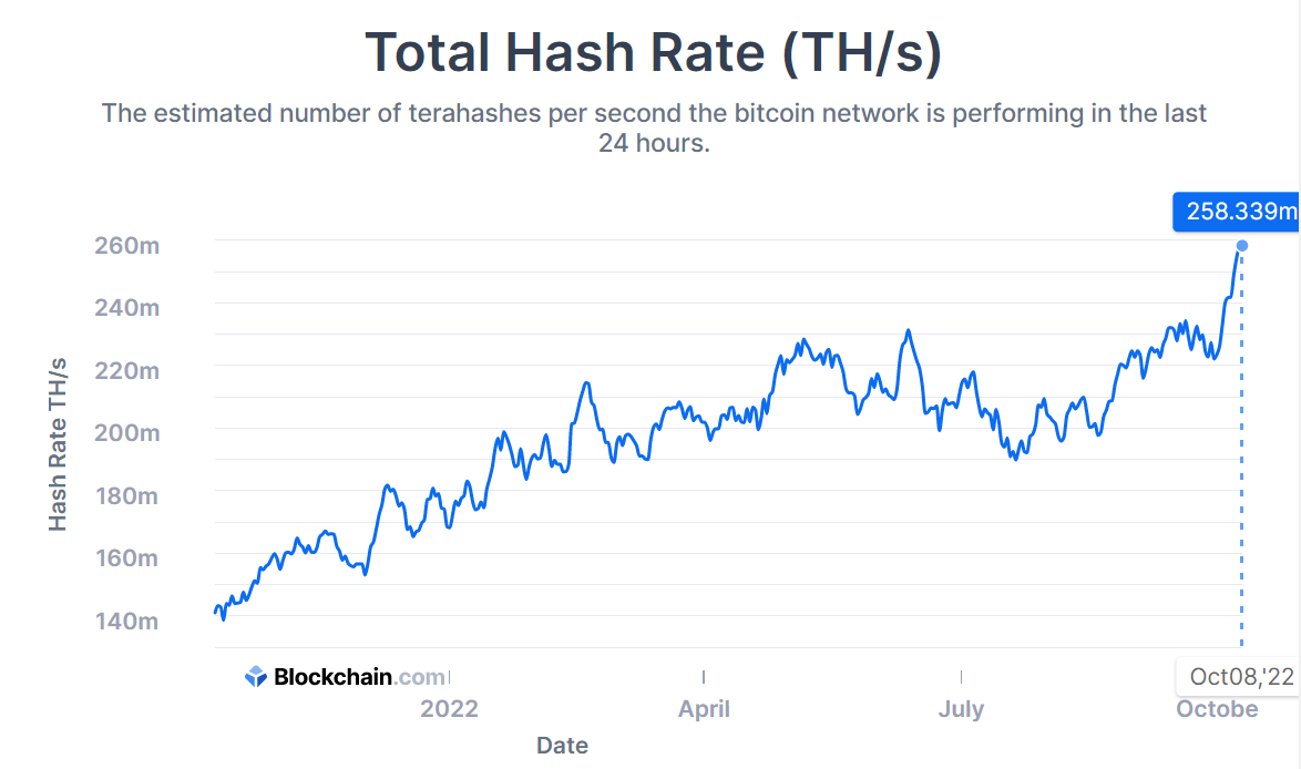 Braiins | Mining Insights