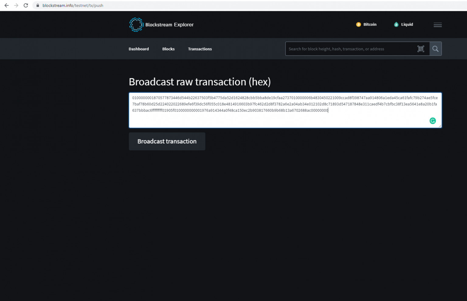 Broadcast raw transaction without input validation