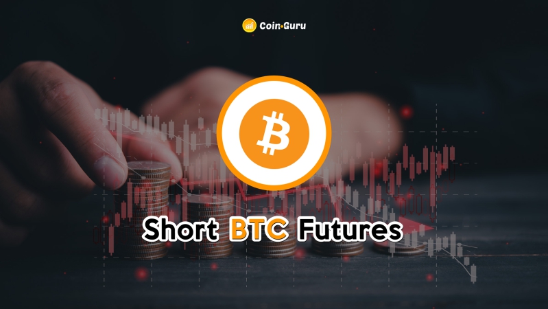 BTCUSDSHORTS Index Charts and Quotes — TradingView