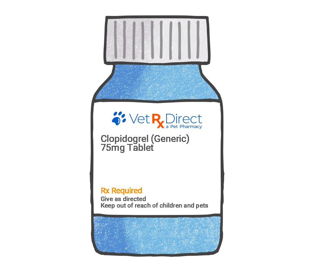 Why did the vet prescribe clopidogrel to my cat? - Vet Help Direct