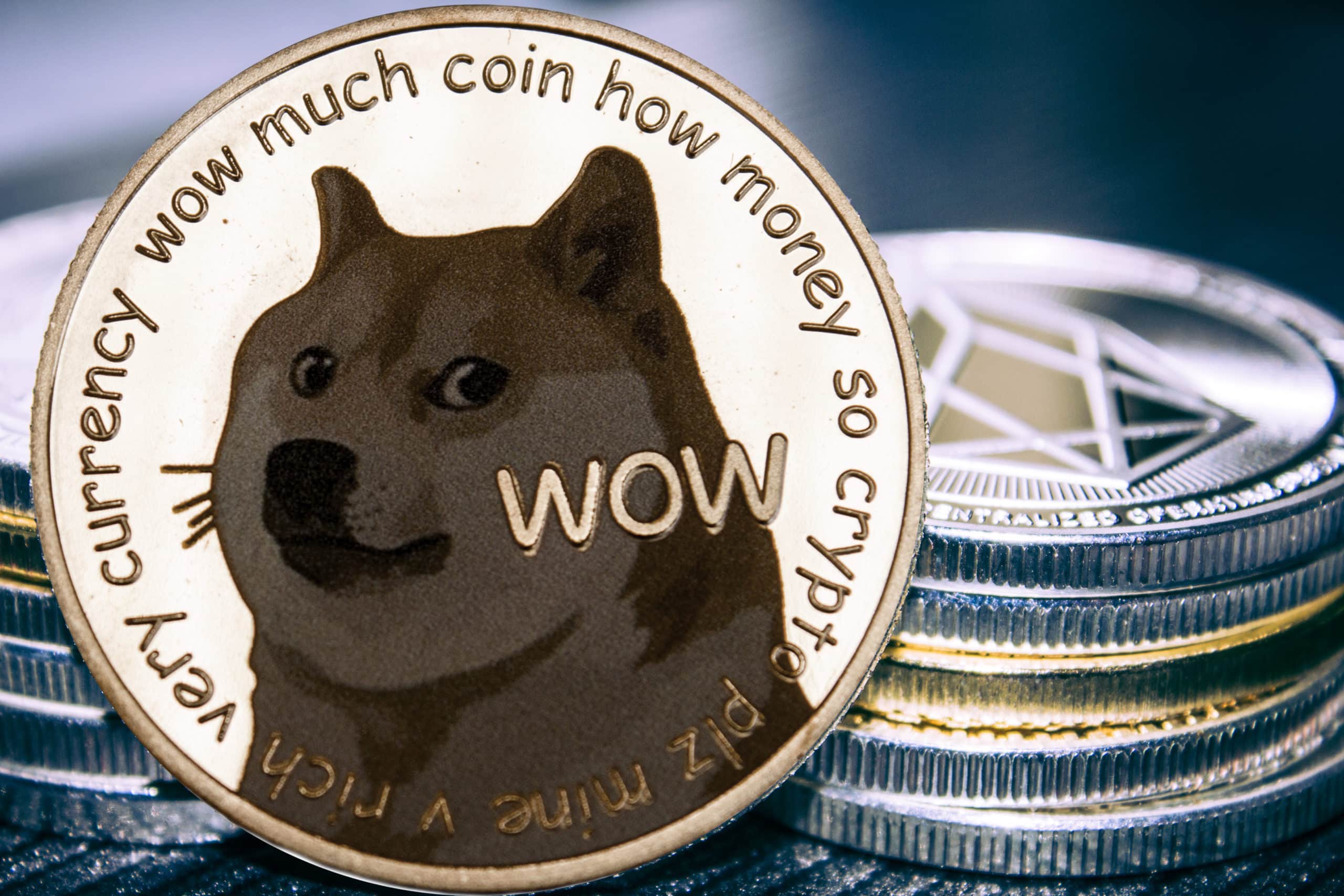 Buy Dogecoin (DOGE) in India With INR - Mudrex