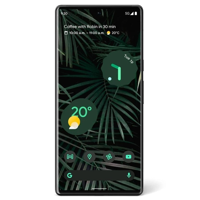 Google Pixel 6 Pro (5G) - Clove Technology