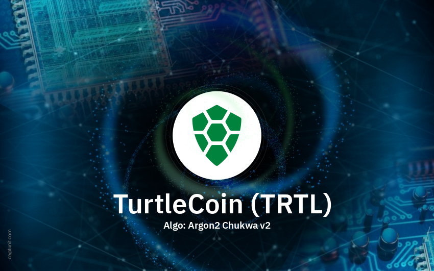 How to buy TurtleCoin (TRTL) Guide - BitScreener