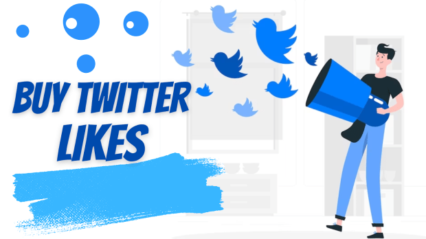 Buy Twitter Followers | Great Quality from Top Provider