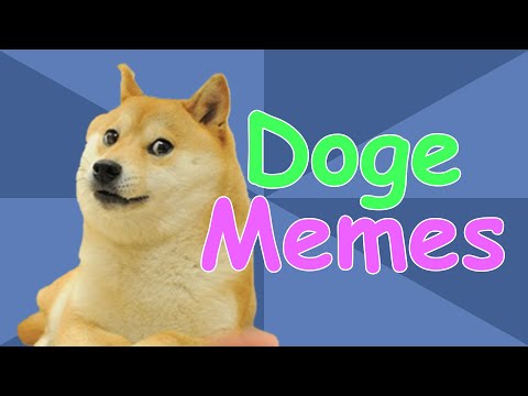 doge Meme | Meaning & History | ostrov-dety.ru