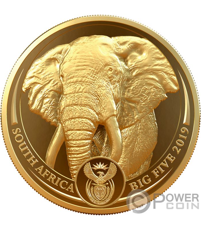 1 oz South Africa Gold Big Five Coins | Amergold