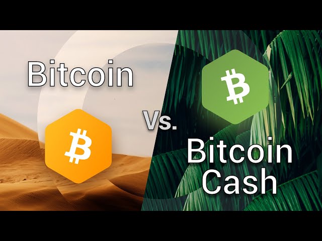 Why BSV is more energy-efficient than BTC and BCH