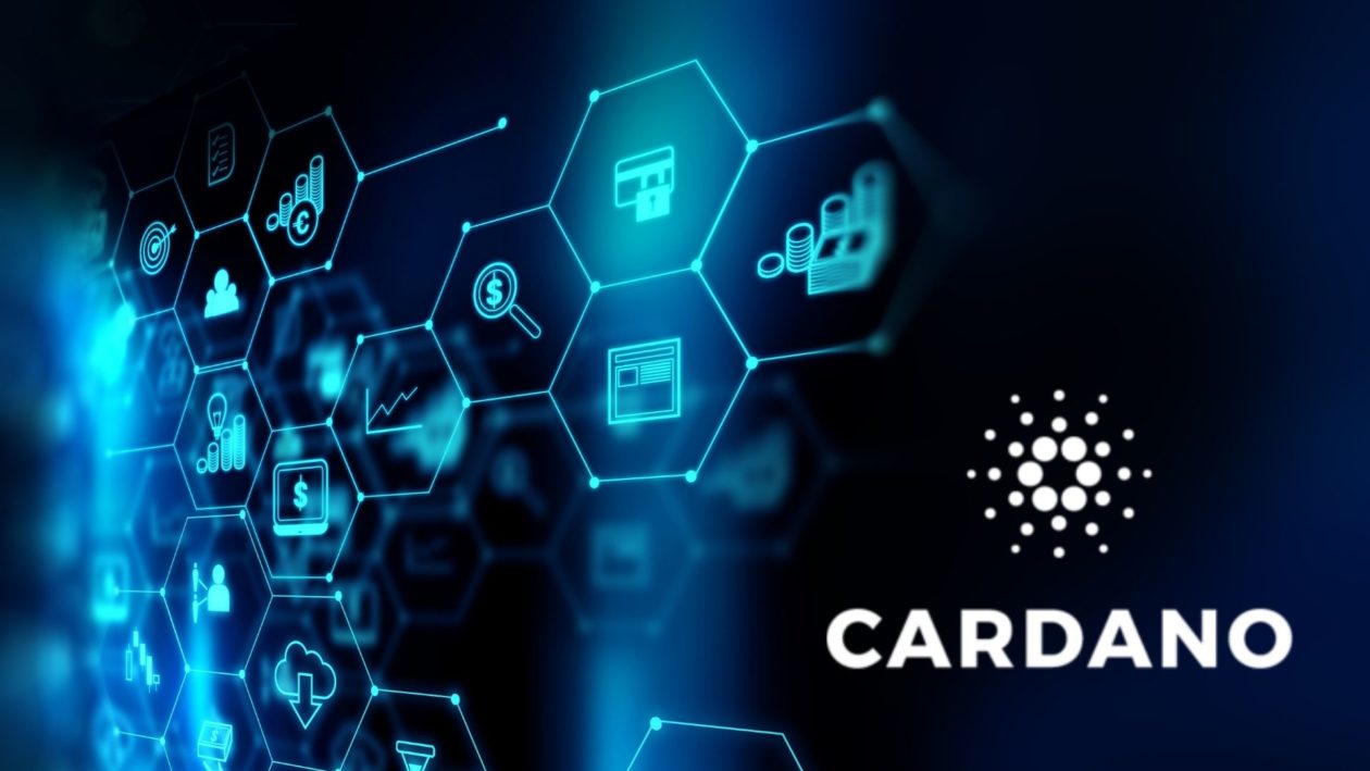 Cardano Spot | ostrov-dety.ru