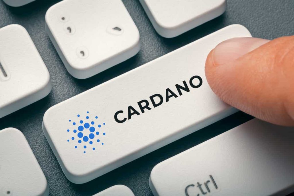 Who is a stake pool operator (SPO)? | Essential Cardano