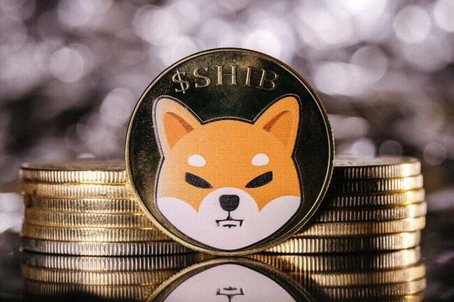 Dogecoin to Euro or convert DOGE to EUR