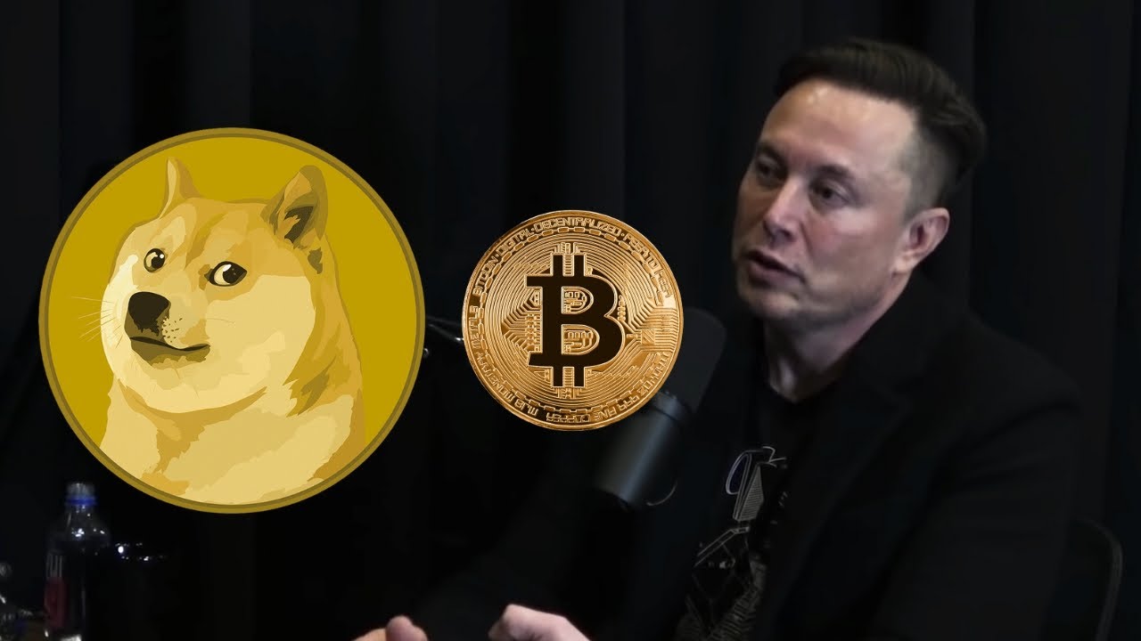 Elon Musk Spills Beans on X Payments – Is Dogecoin in Mix?