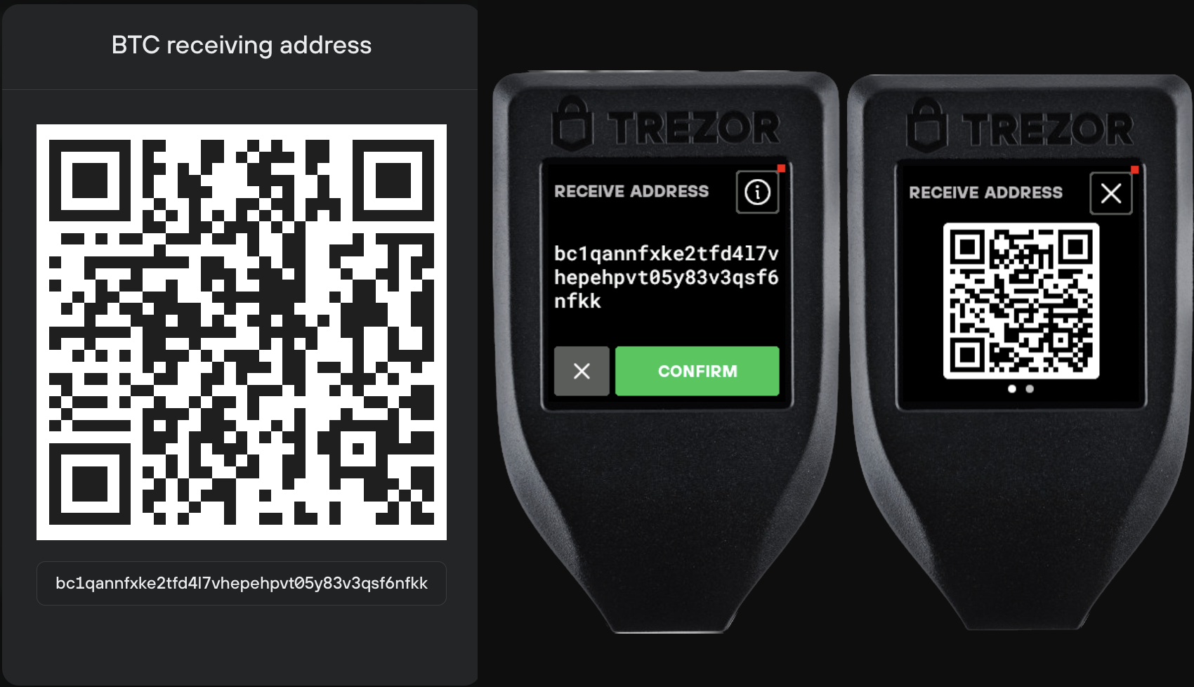 How to Access Bitcoin Forks With Trezor | CitizenSide