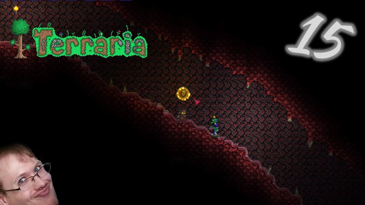 Coin Portal? :: Terraria 综合讨论