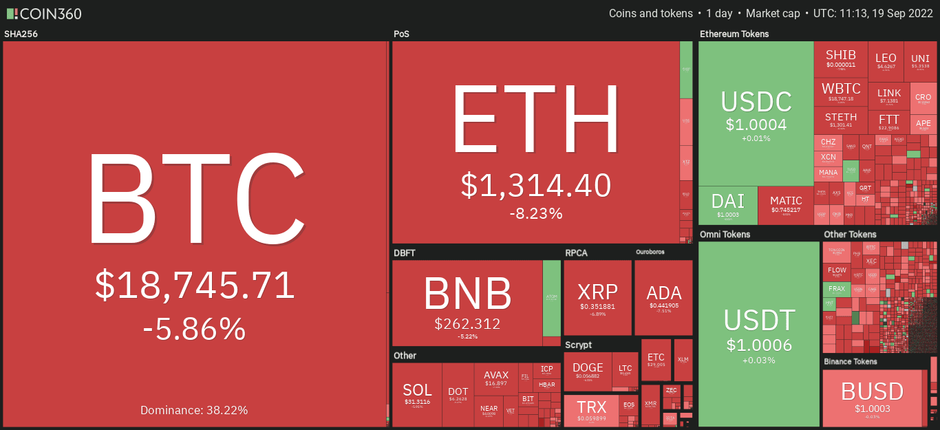 Top Cryptos & Tokens Ranked by Market Cap