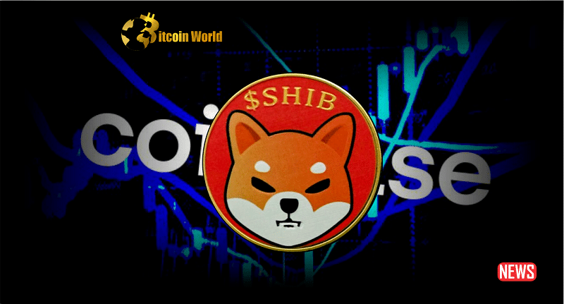 Shiba Inu was the most viewed cryptocurrency in CoinMarketCap