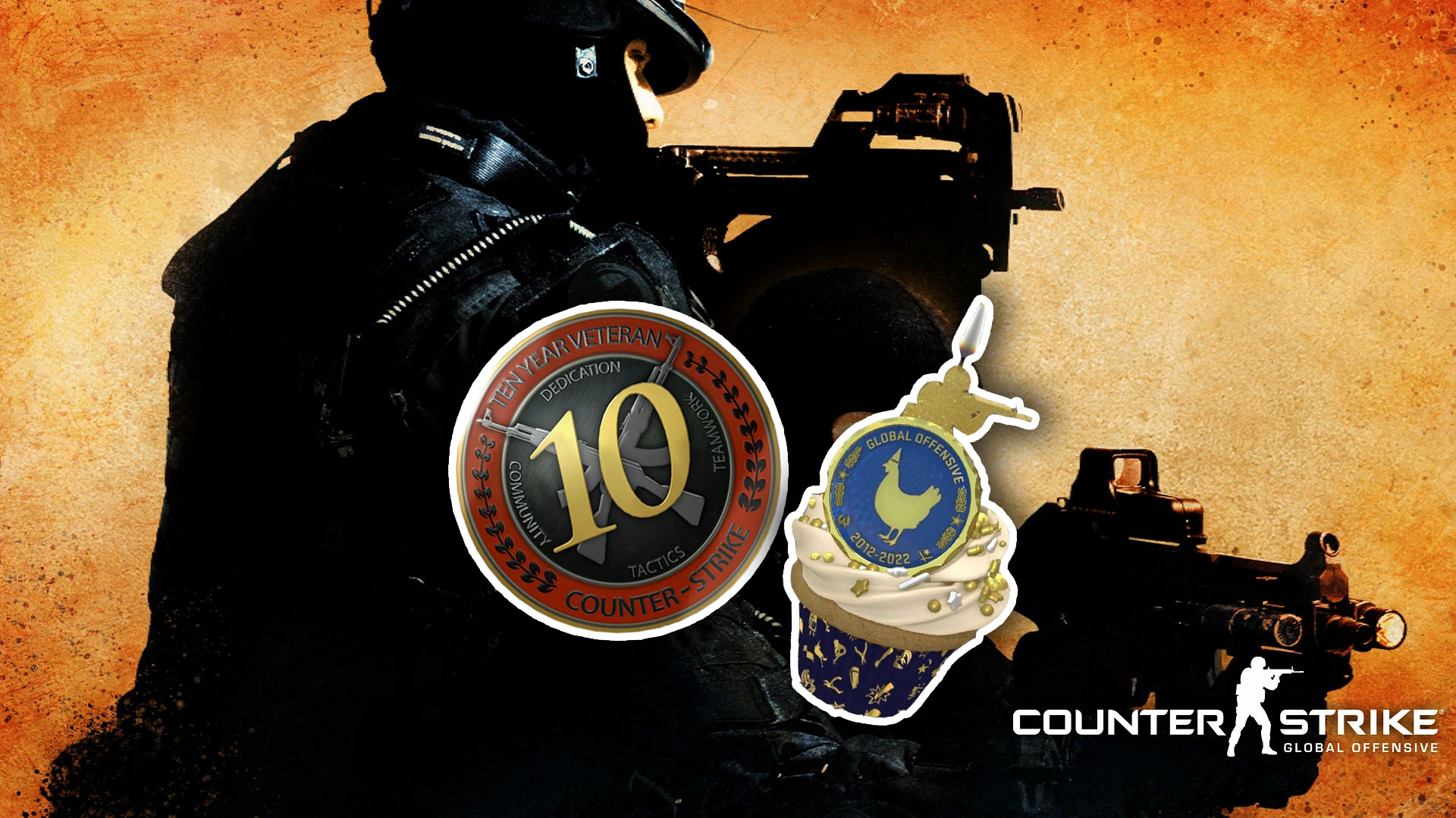 COMPTE STEAM * 15 ans * pièce de 10 et 5 ans vétéran CS:GO * Counter-Strike EUR 9,00 - PicClick FR