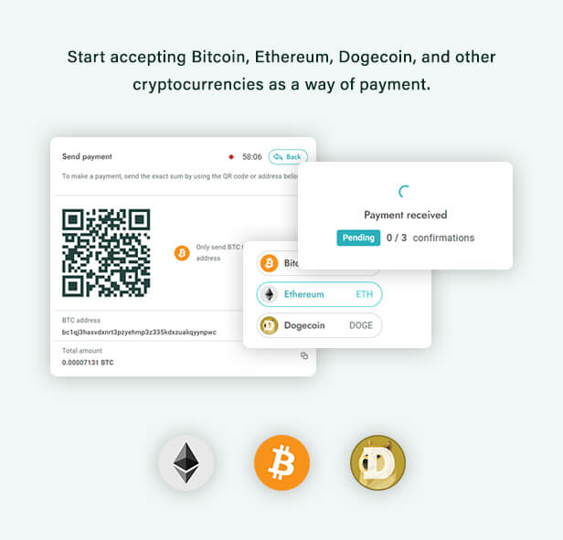 BitPay Clone Script: How to Develop Your Own Crypto Payment Gateway?