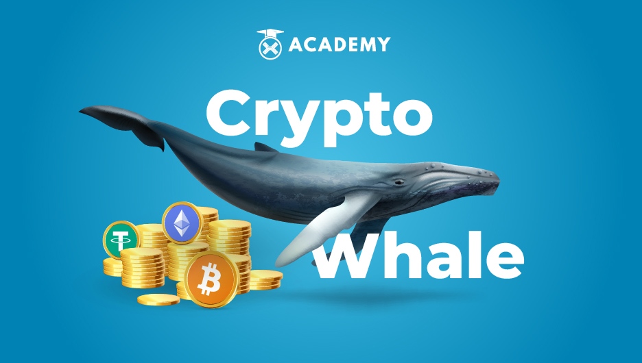 What Are Crypto Whales and Can They Manipulate Prices?