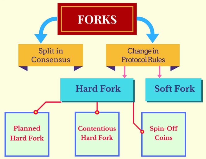 A History of Bitcoin Hard Forks