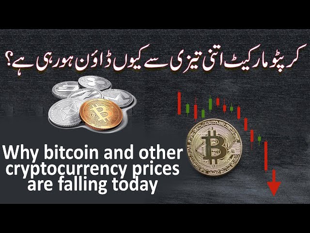 Bitcoin (BTC)| Bitcoin Price in India Today 01 March News in Hindi - ostrov-dety.ru