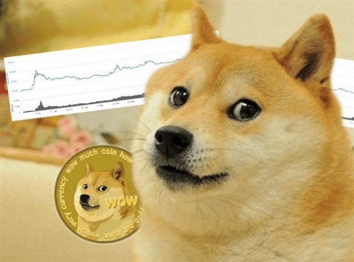 Dogecoin vs Shiba Inu: What's the Difference? • Blog Cryptomus