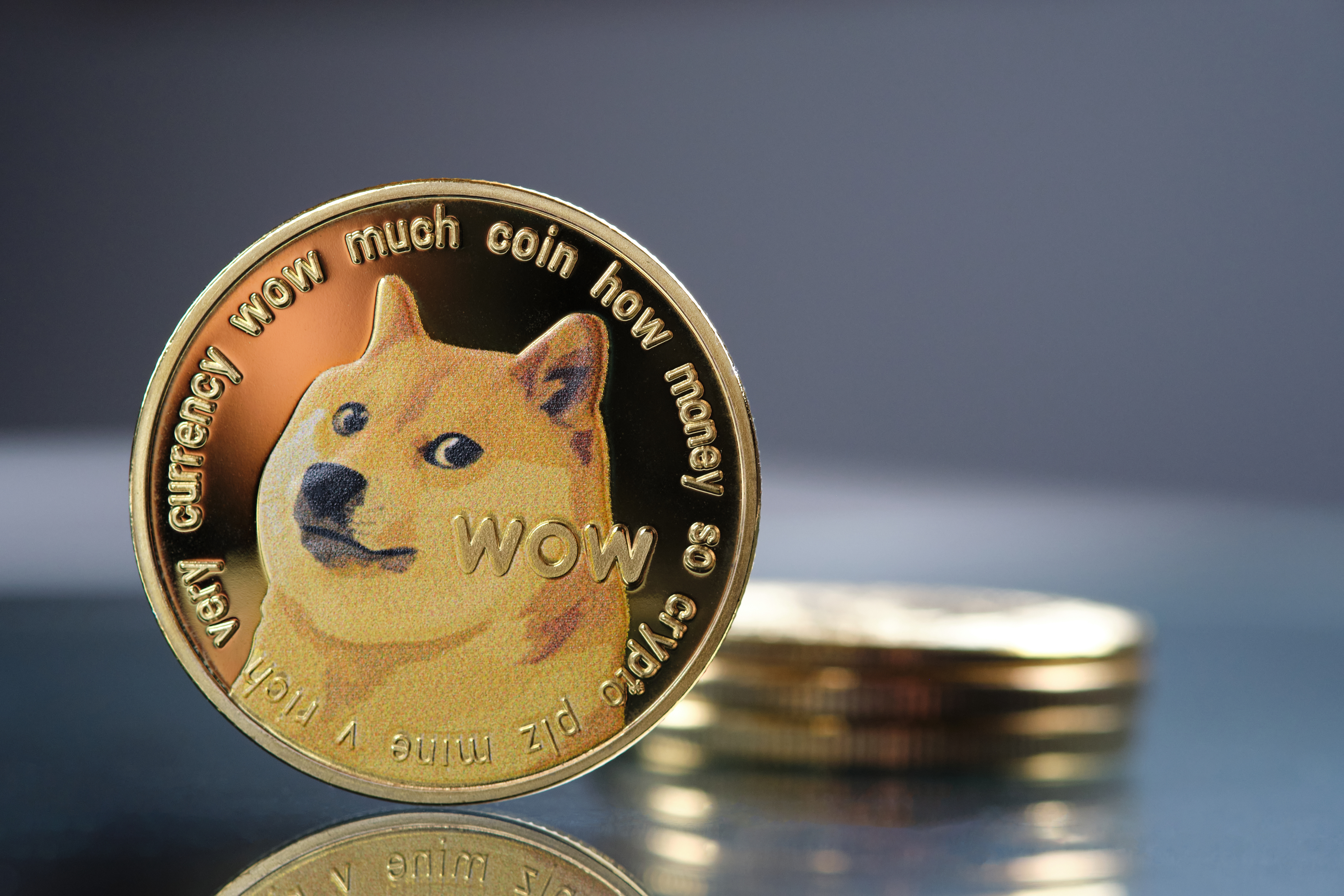 1 DOGE to USD Exchange Rate Calculator: How much USD is 1 Dogecoin?