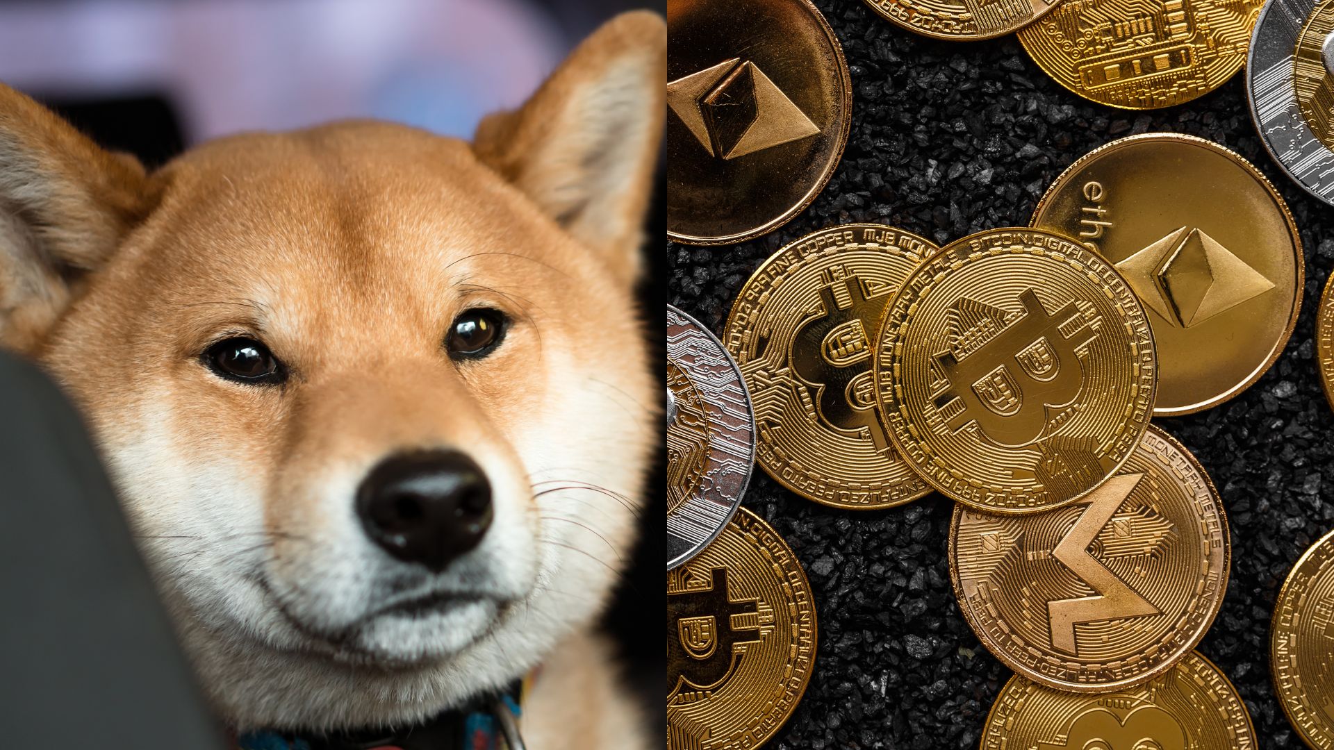 PHP to DOGE | Convert Philippine Peso to Dogecoin | OKX