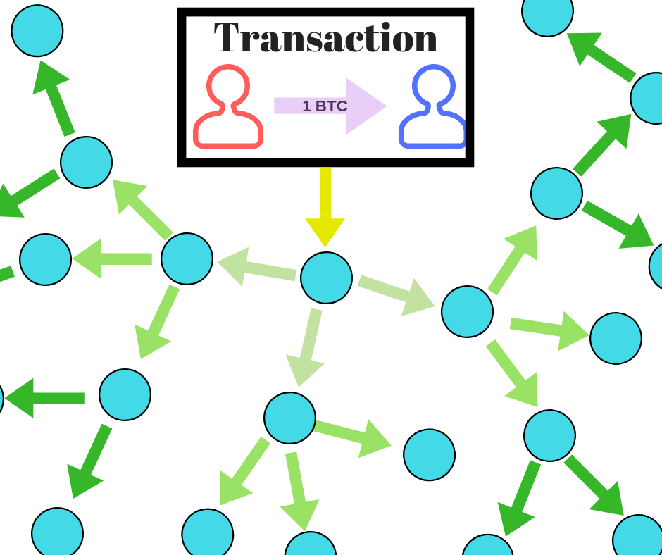 Crypto Nodes: What Are They And How Do They Work? | Ledger