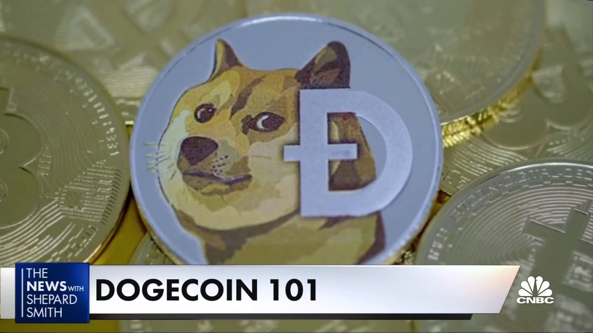 What is Dogecoin? - ostrov-dety.ru