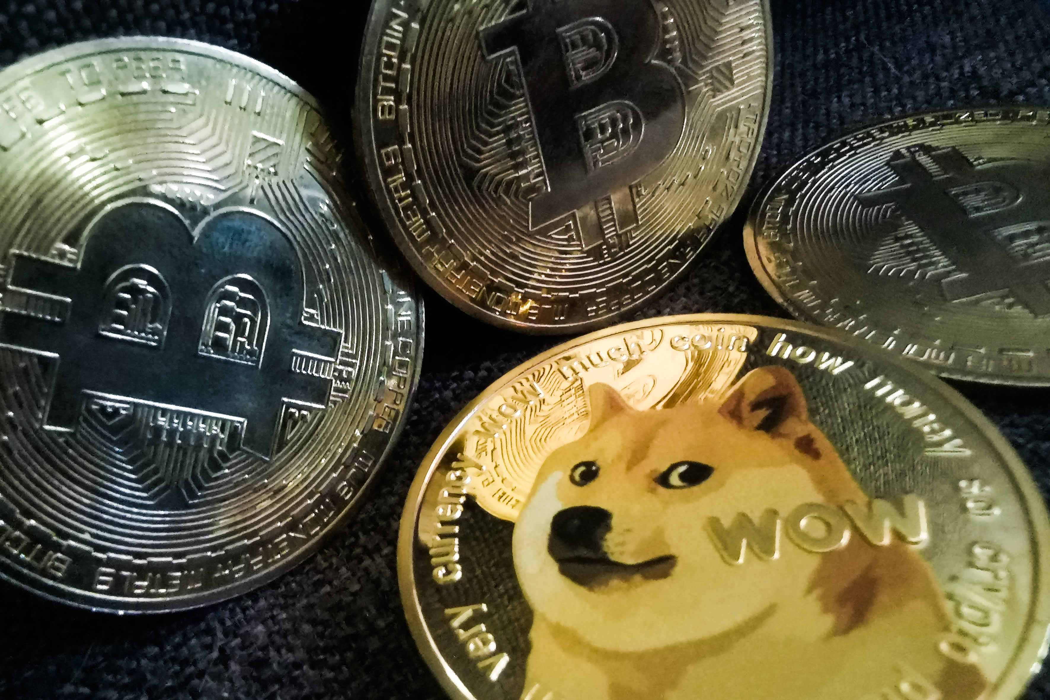 Exchange Dogecoin DOGE to Perfect Money USD - CurrencyConverter