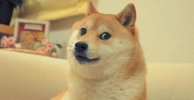 doge - Wiktionary, the free dictionary