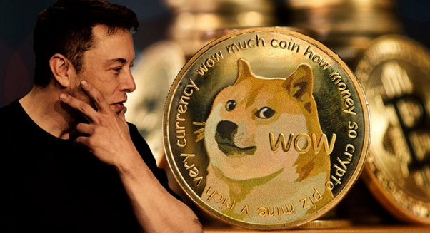 Dogecoin: Is it bad? | Fortune