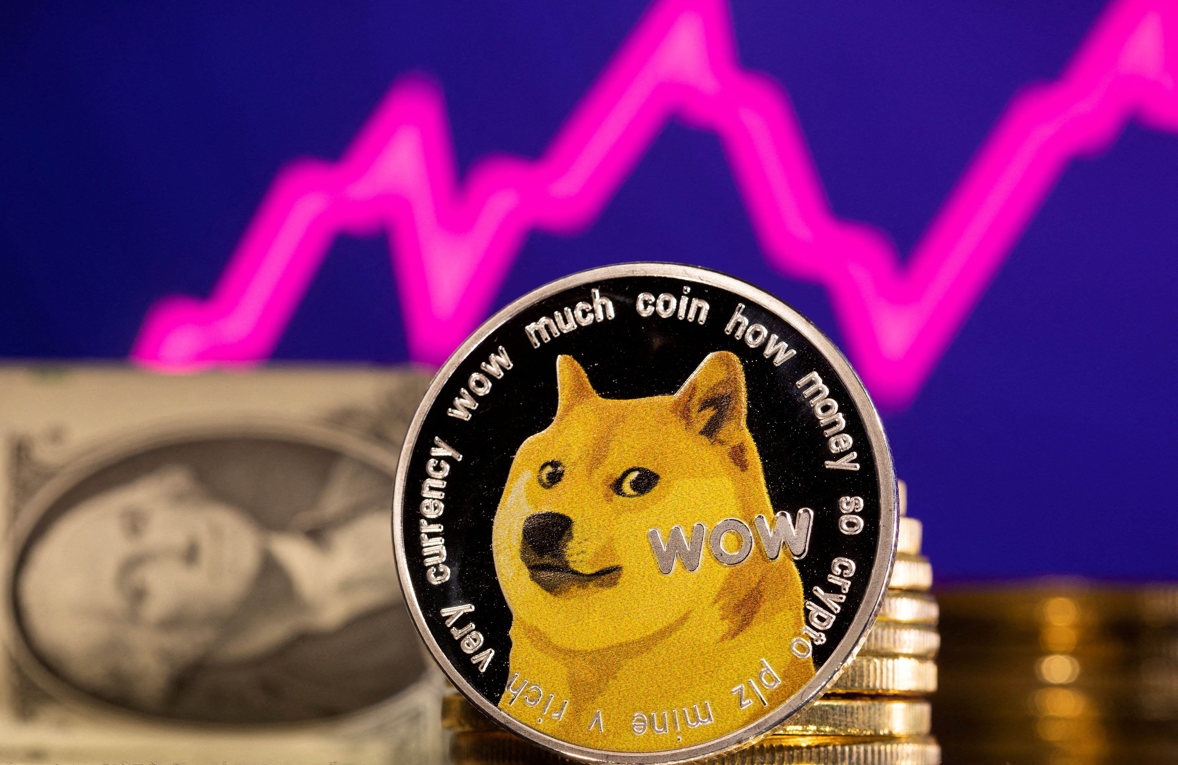 How do I get a Dogecoin wallet? - Dogecoin