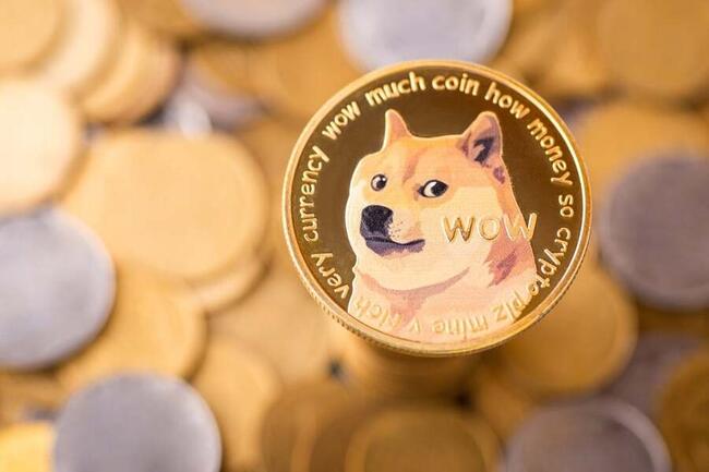 Dogecoin | Tatum - PHP SDK